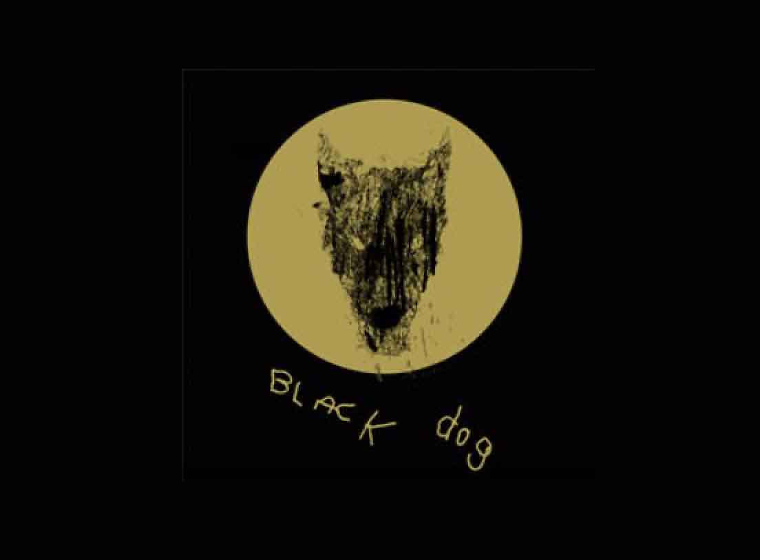 Black Dog Films logo