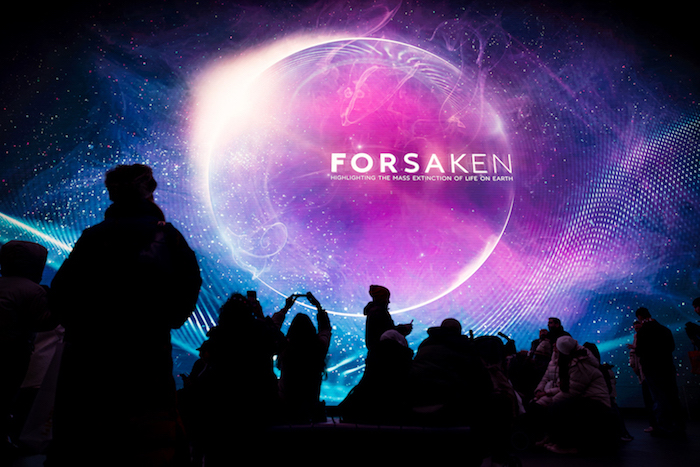 Forsaken - an exhibition at Outernet inspired by the threat to our oceans