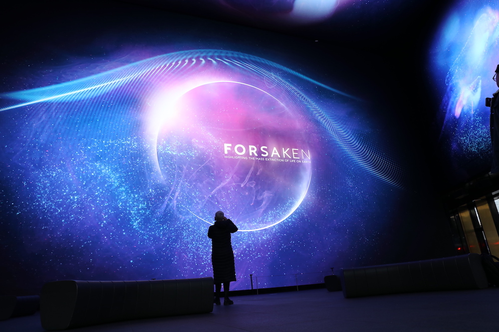 Forsaken, an exhibition to celebrate The Immortal Jellyfish at Outernet