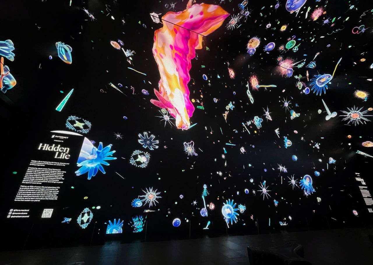Hidden Life at Outernet