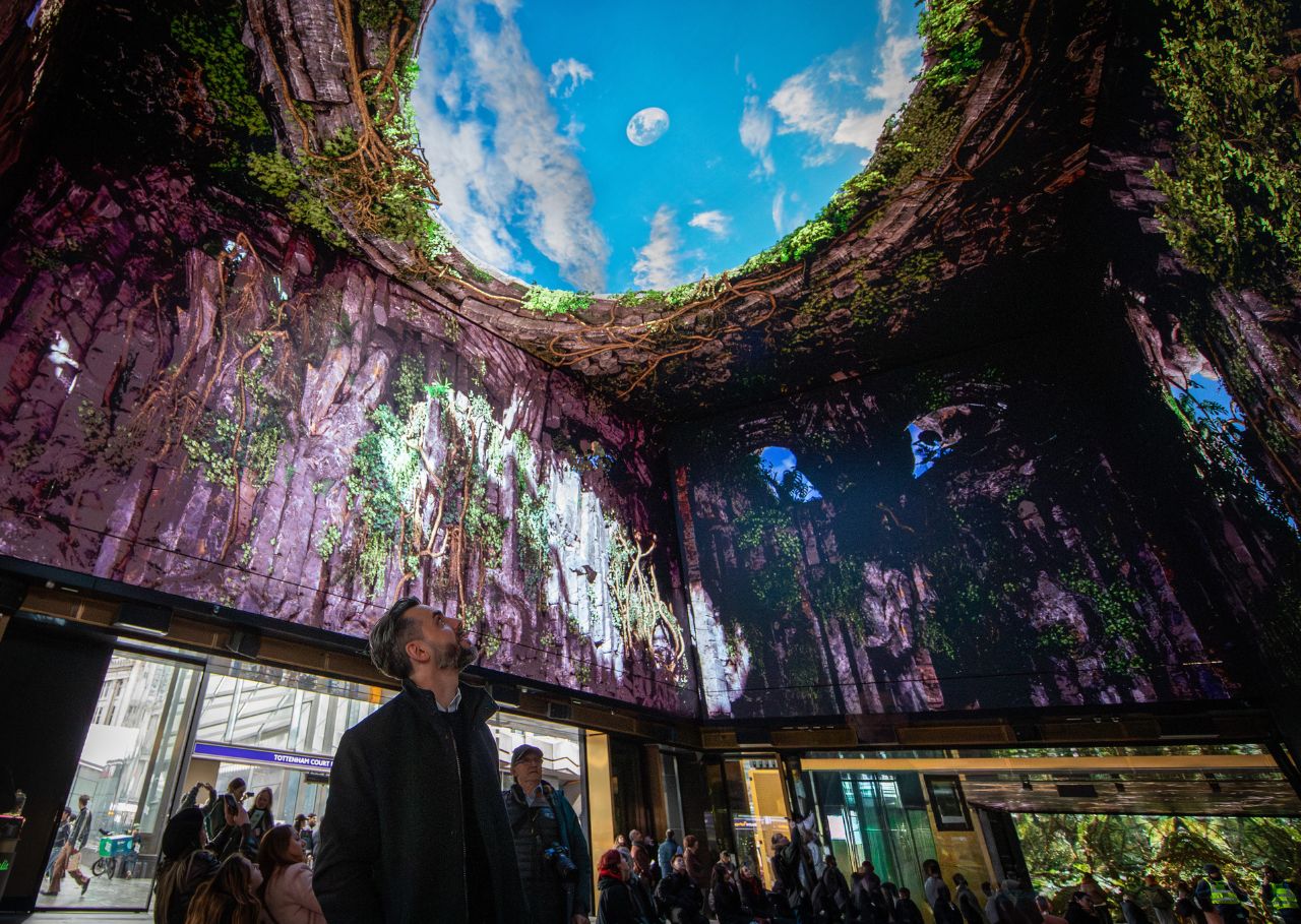 Augustin looks up at The Intelligence Garden