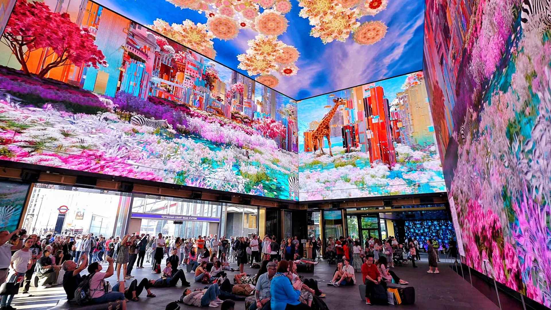 Milagro by Victoria Fard in The Now Building